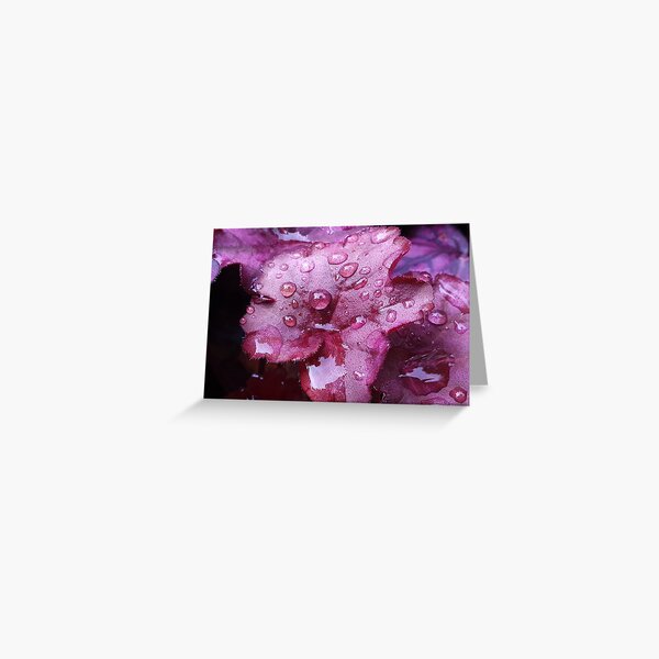Fairy pond leaf Greeting Card