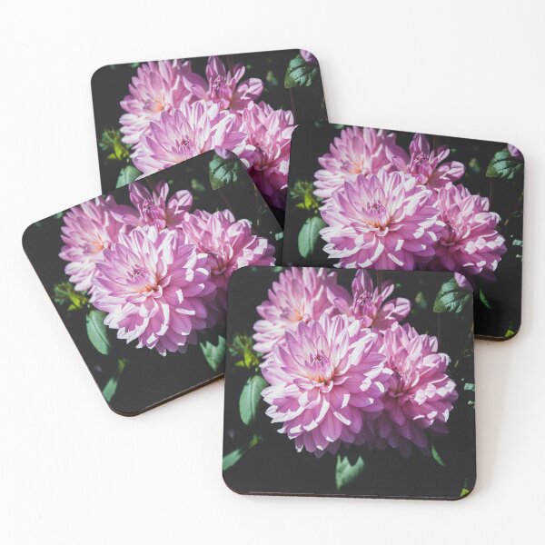 Item preview, Pastel Purple Dahlias designed and sold by JLPhotographer.