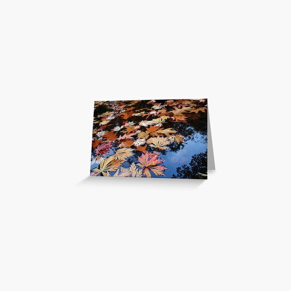 Autumn leaves on water Greeting Card