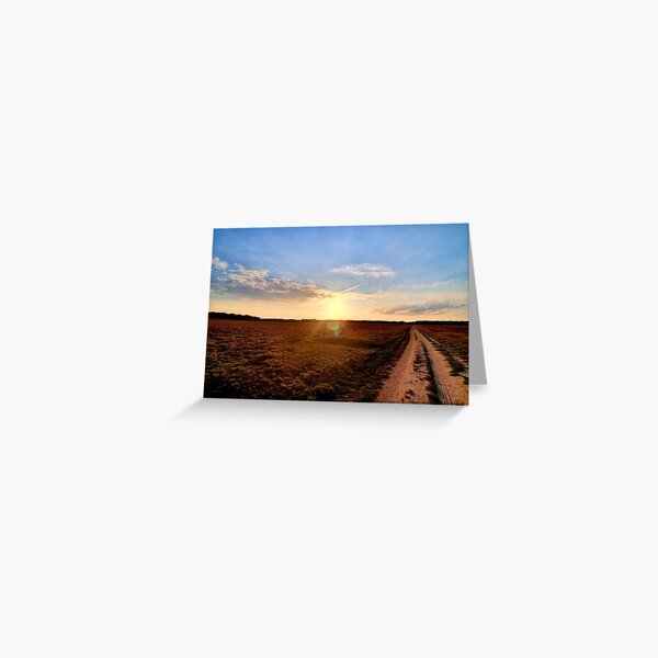Setting sun on heather fields Greeting Card
