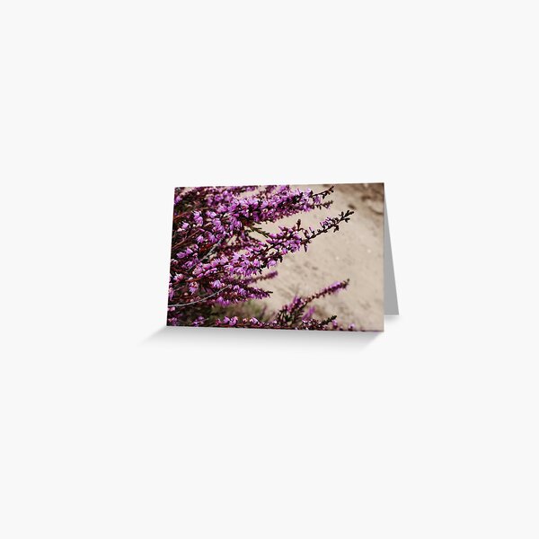 Heather on sand Greeting Card