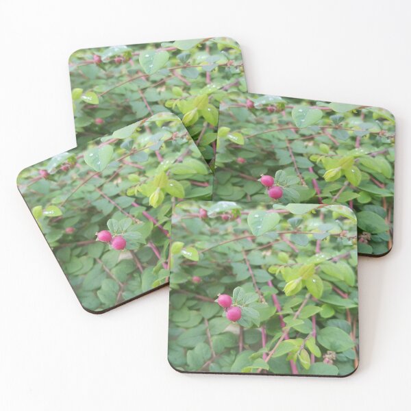 Item preview, snowberry: natural photoart designed and sold by kosarandrea.
