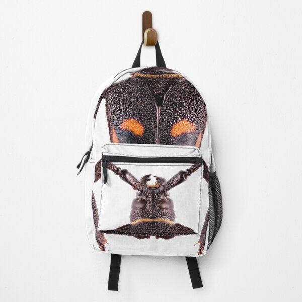 Item preview, Long Horn Beetle (Calocomus desmaresti) designed and sold by Tim Christensen.