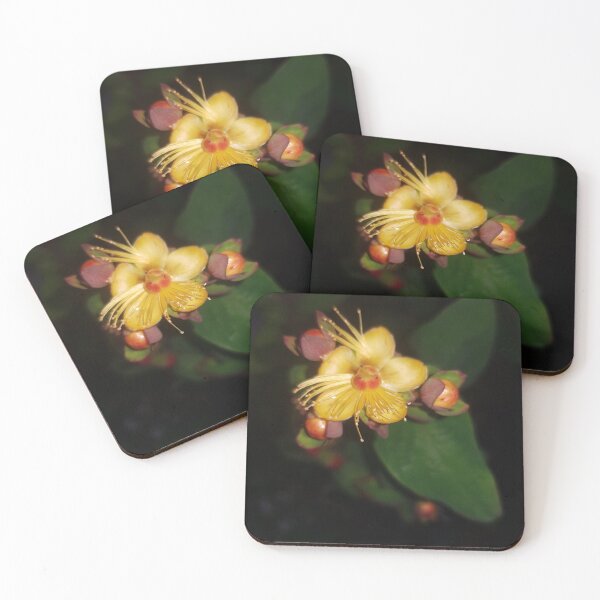 Item preview, yellow flower in black: nature photo designed and sold by kosarandrea.