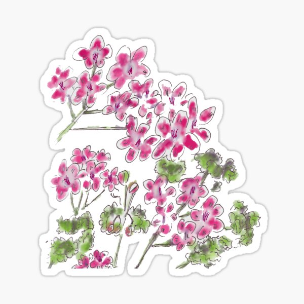 Bright Pink Watercolour Geraniums Sticker