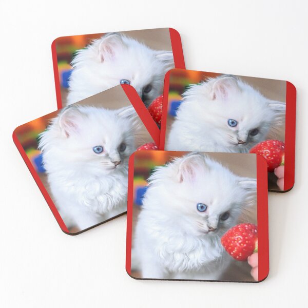 Item preview, Ragdoll kitten designed and sold by Fluffycat2020.