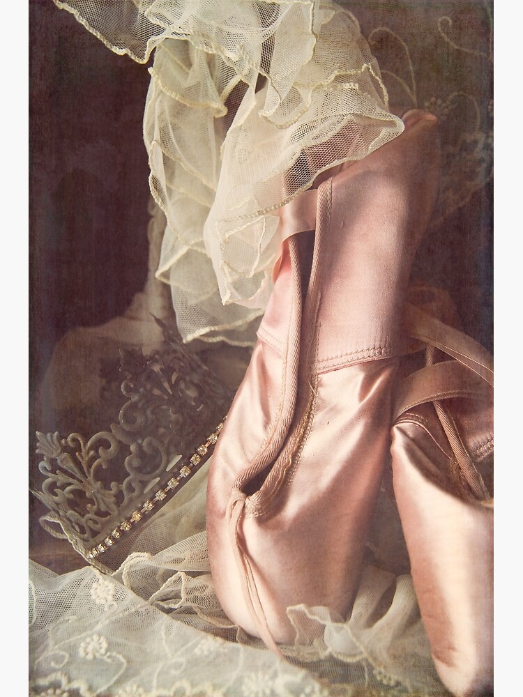 Ballet Slippers by CindiR60
