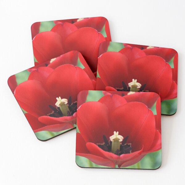 Item preview, Tulip designed and sold by Chris Burrows.