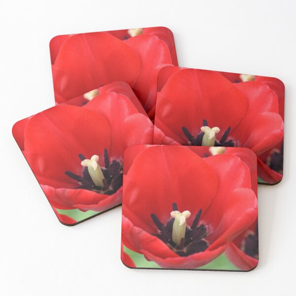 Item preview, Tulip designed and sold by Chris Burrows.