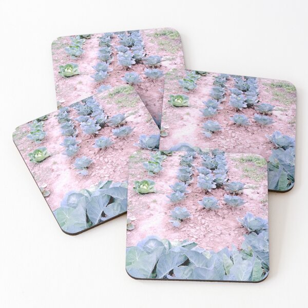 Item preview, Beautiful Green Cabbage crops  in the field designed and sold by pumpqin.