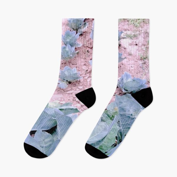 Item preview, Beautiful Green Cabbage crops  in the field designed and sold by pumpqin.