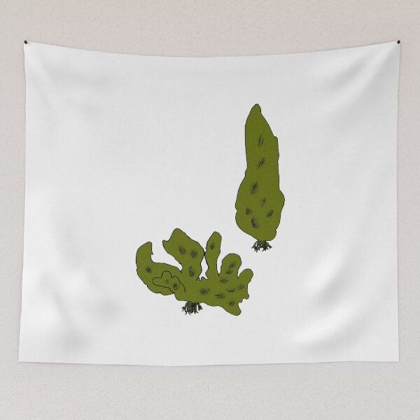 Item preview, Hedophyllum sessile designed and sold by Stanton.