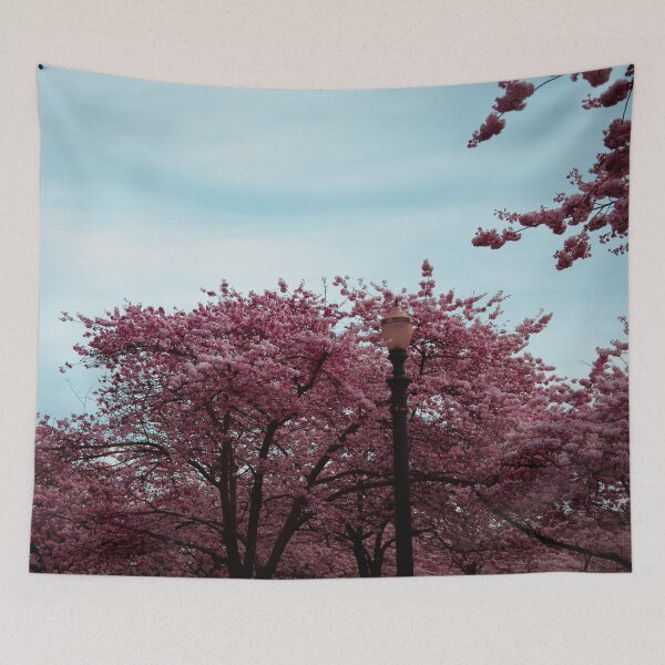 Item preview, Pink Sakura Lamppost designed and sold by JLPhotographer.