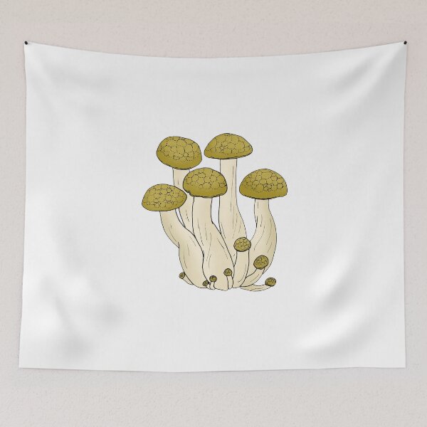 Item preview, Hypsizygus tessellatus designed and sold by Stanton.