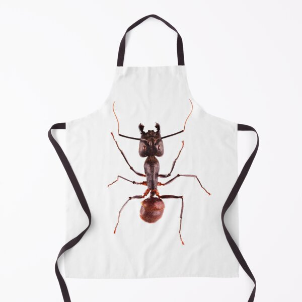 Item preview, Giant Forest Ant (Camponotus gigas) designed and sold by Tim Christensen.