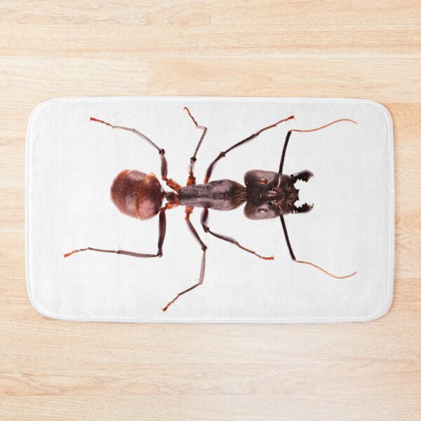 Item preview, Giant Forest Ant (Camponotus gigas) designed and sold by Tim Christensen.