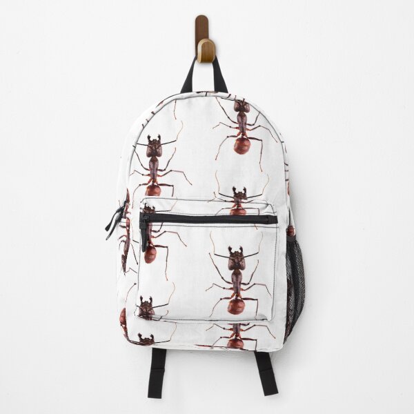 Item preview, Giant Forest Ant (Camponotus gigas) designed and sold by Tim Christensen.