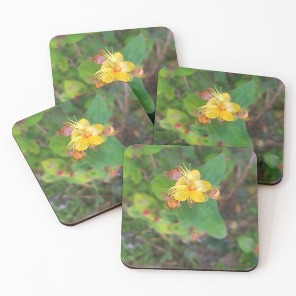 Item preview, yellow flower: nature photo designed and sold by kosarandrea.