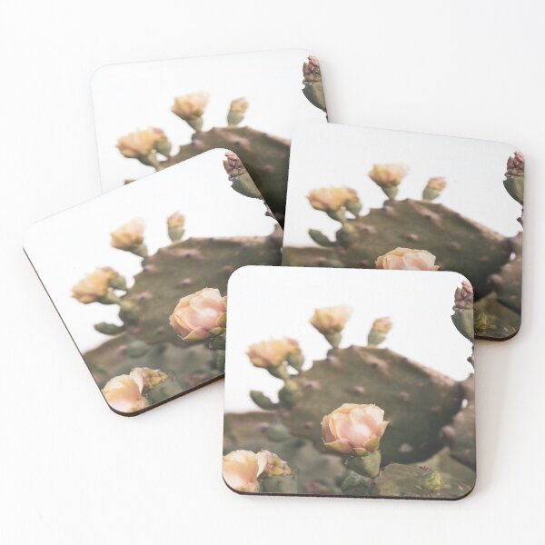 Item preview, Vintage Cactus Blooms designed and sold by JLPhotographer.