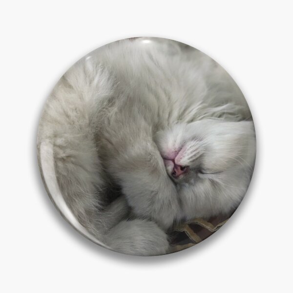Item preview, Ragdoll kitten designed and sold by Fluffycat2020.