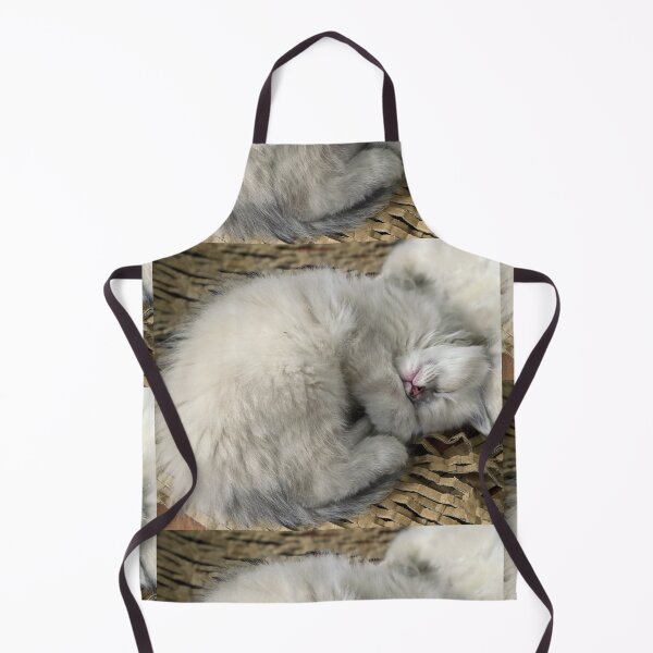 Item preview, Ragdoll kitten designed and sold by Fluffycat2020.
