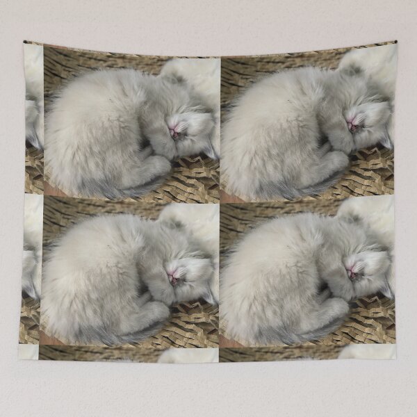 Item preview, Ragdoll kitten designed and sold by Fluffycat2020.