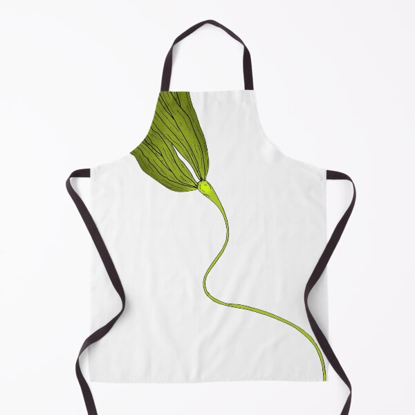 Item preview, Nereocystis luetkeana designed and sold by Stanton.