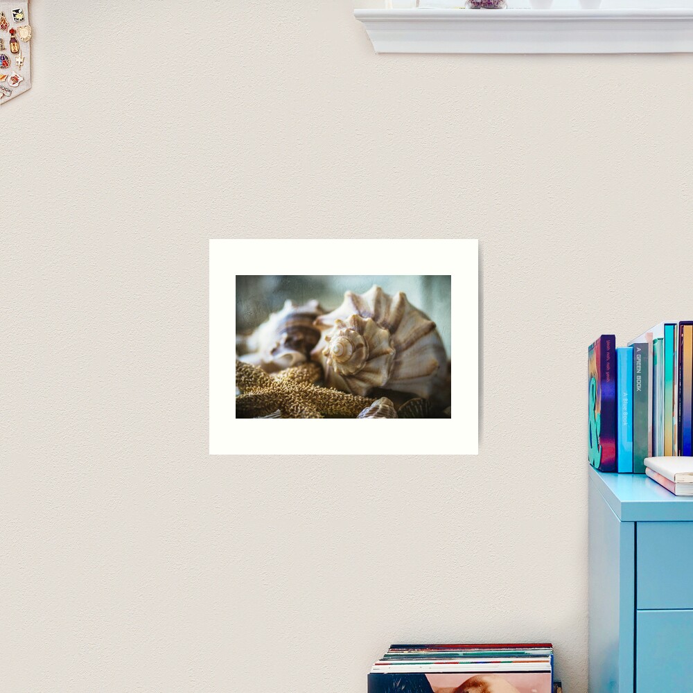 Treasures Of The Sea Art Print
