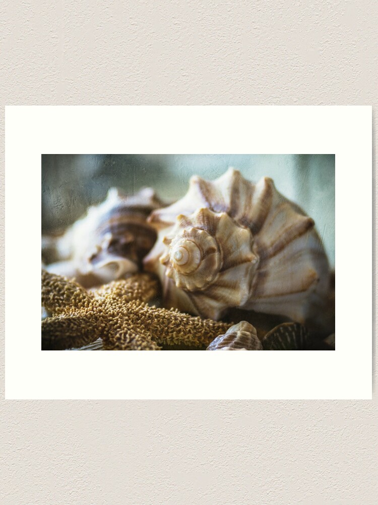 Alternate view of Treasures Of The Sea Art Print