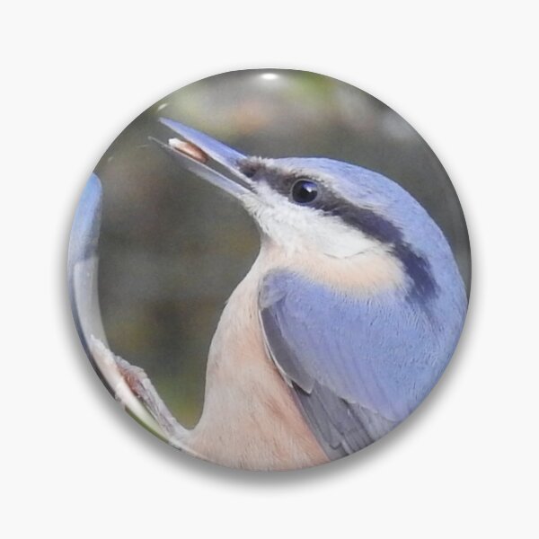 Item preview, nuthatch designed and sold by dbrDurham.