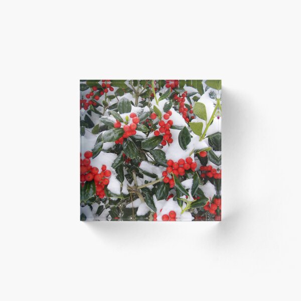 Merry Christmas 2020 Acrylic Block