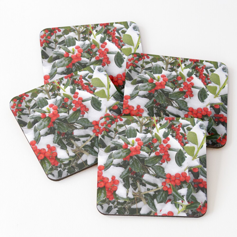 Merry Christmas 2020 Coasters (Set of 4)