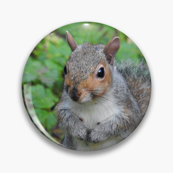 Item preview, cheeky chappy  designed and sold by dbrDurham.