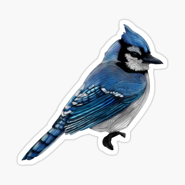 Baby Blue Jay Bird Custom-Cut Vinyl Sticker | Zazzle