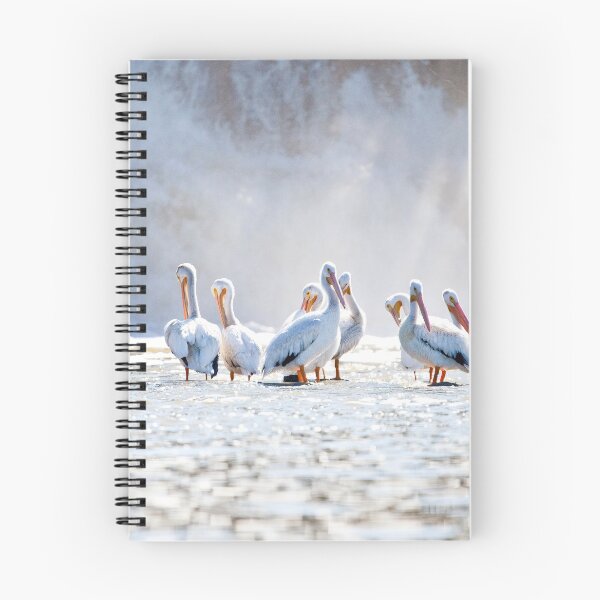 Item preview, Pelicans and Waterfall designed and sold by Vargulich.