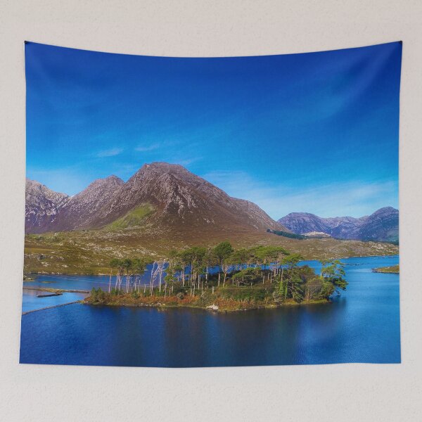 Item preview, Pine Island in Derryclare Lake designed and sold by CathalDevlin.