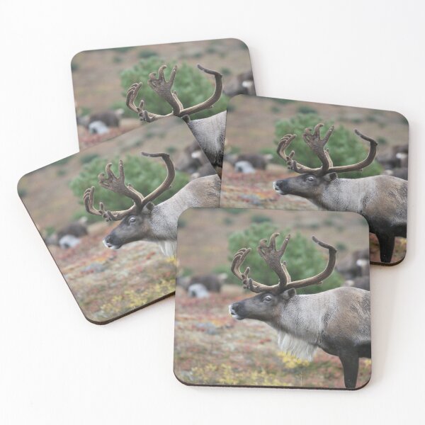 Item preview, Arctic Reindeer designed and sold by liftdesign.