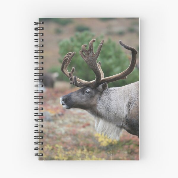 Item preview, Arctic Reindeer designed and sold by liftdesign.