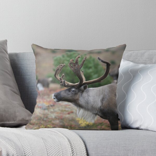 Item preview, Arctic Reindeer designed and sold by liftdesign.