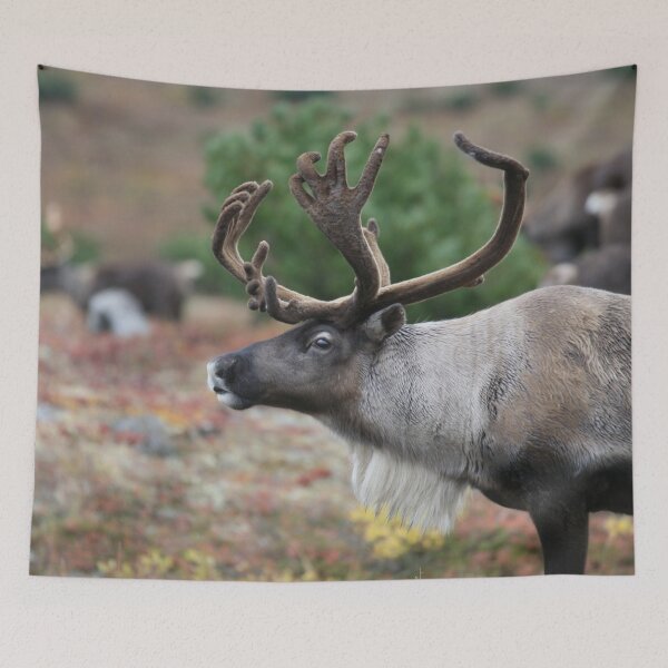 Item preview, Arctic Reindeer designed and sold by liftdesign.