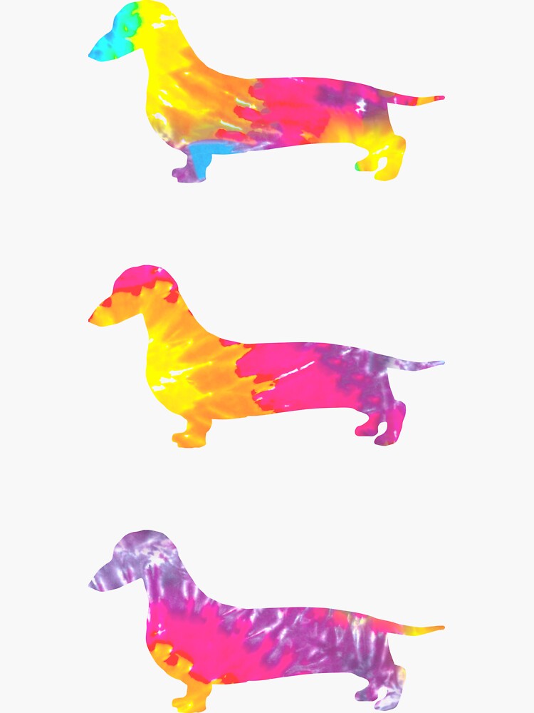 "tie dye texture cute dog dachshund 3 pack" Sticker for Sale by summerpositif | Redbubble