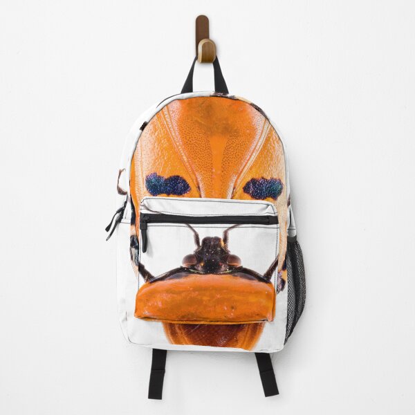 Item preview, Shield Bug (Catacanthus incarnatus) designed and sold by Tim Christensen.