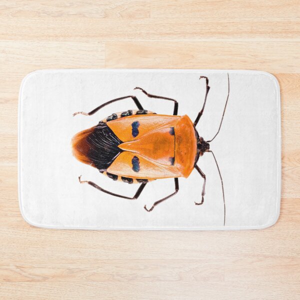Item preview, Shield Bug (Catacanthus incarnatus) designed and sold by Tim Christensen.