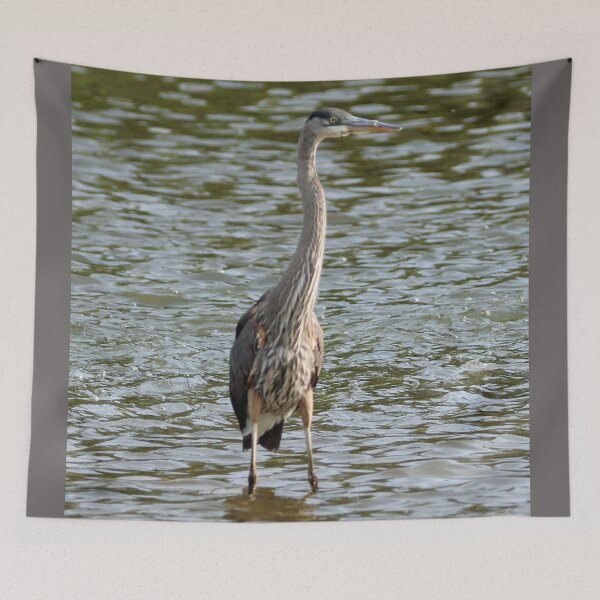 Item preview, Great Blue Heron designed and sold by Susie Kramer.