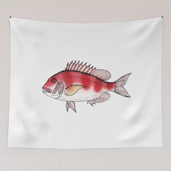 Item preview, Pagrus major designed and sold by Stanton.