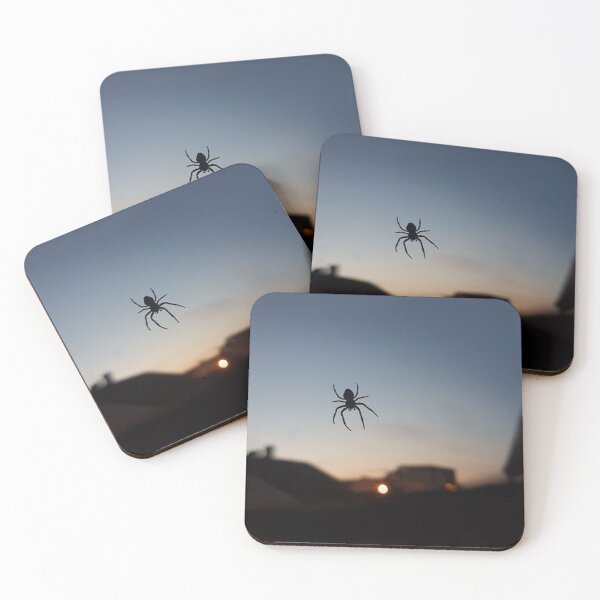 Item preview, Spider on window designed and sold by Meilov.