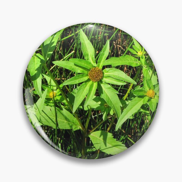 Item preview, Green Petal Wild Flower designed and sold by David D. Shaw.