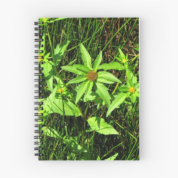 Item preview, Green Petal Wild Flower designed and sold by David D. Shaw.