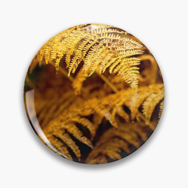 Item preview, Bracken, Leader Water, Scottish Borders designed and sold by Iain MacLean.