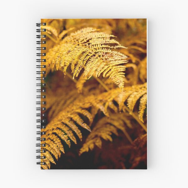 Item preview, Bracken, Leader Water, Scottish Borders designed and sold by Iain MacLean.